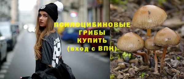 гидропоника Инсар