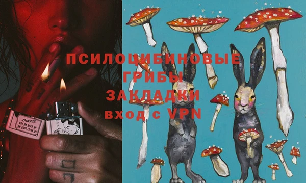 тгк Иннополис