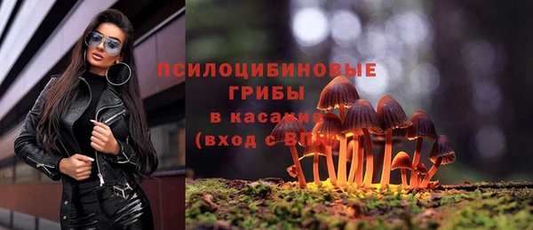 тгк Иннополис