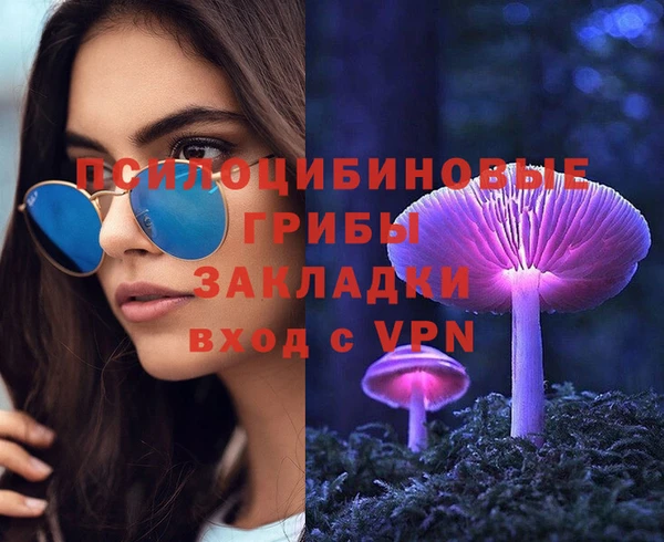 гидропоника Инсар